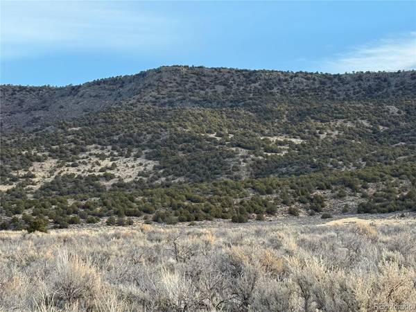 54 Old Stage Coach Road, San Luis, CO 81152