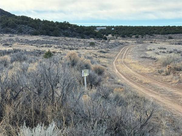54 Old Stage Coach Road, San Luis, CO 81152