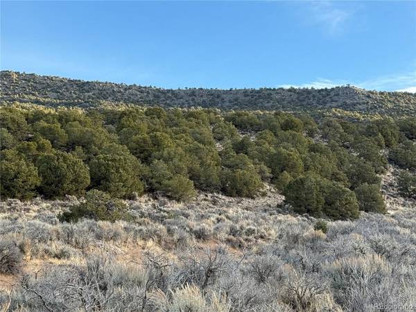 54 Old Stage Coach Road, San Luis, CO 81152
