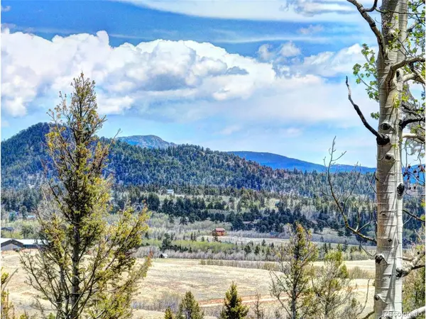 258 Old Squaw, Como, CO 80432