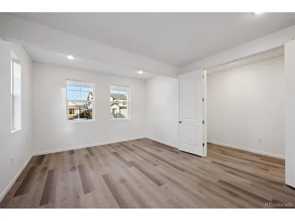 5430 Brangus, Windsor, CO 80528