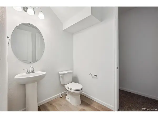 5430 Brangus, Windsor, CO 80528