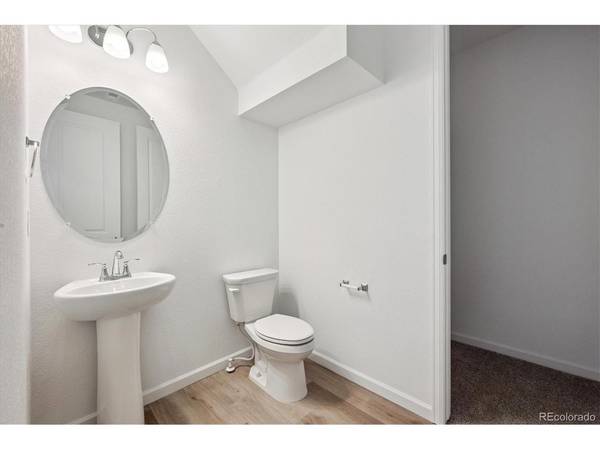 5430 Brangus, Windsor, CO 80528