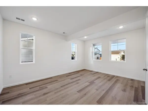 5430 Brangus, Windsor, CO 80528