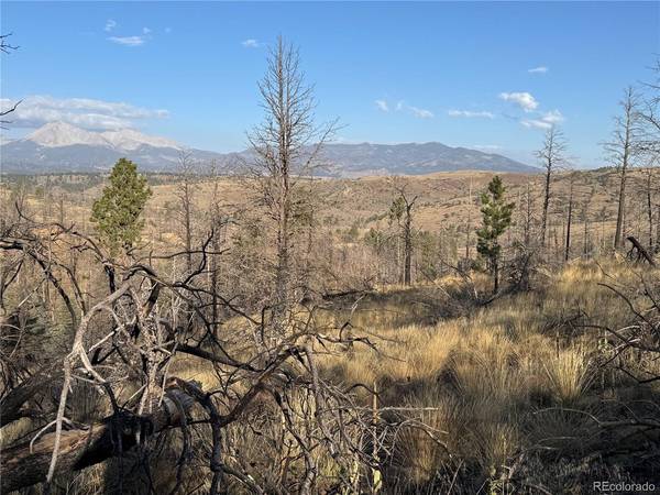 Forbes Park Rd, Fort Garland, CO 81133