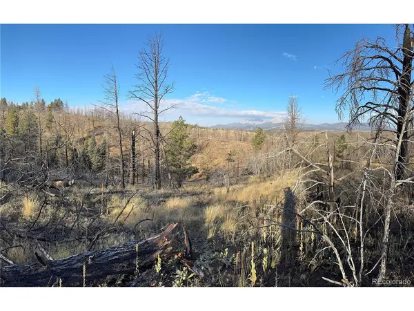 Forbes Park Rd, Fort Garland, CO 81133