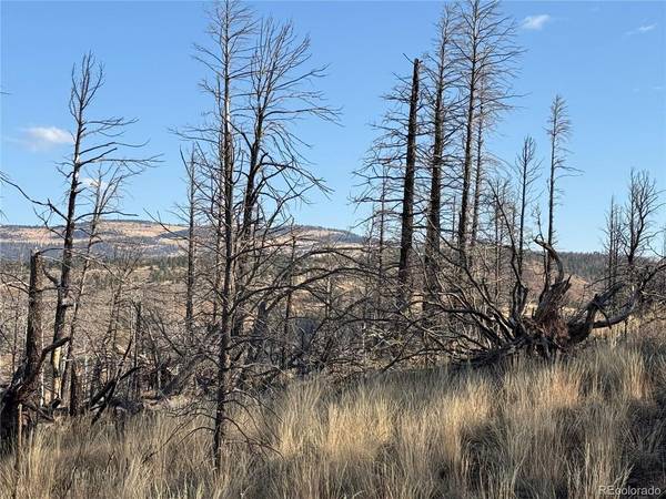 Forbes Park Rd, Fort Garland, CO 81133