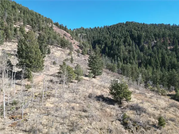 18 Blue Haven, Woodland Park, CO 80863