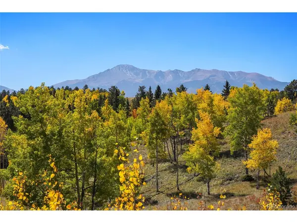 0 Schubarth, Woodland Park, CO 80863