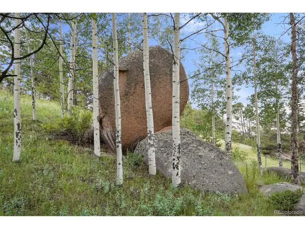 0 Schubarth, Woodland Park, CO 80863