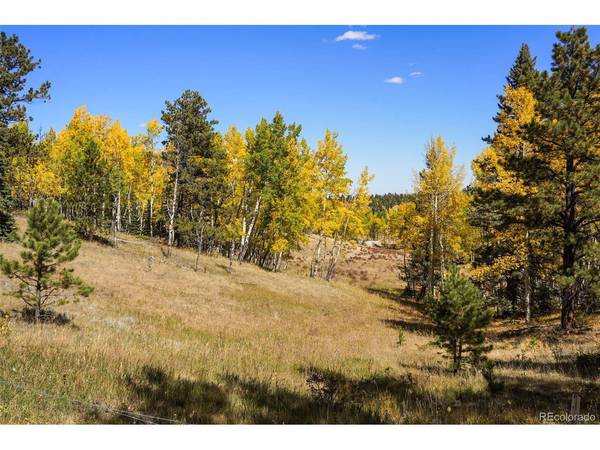 0 Schubarth, Woodland Park, CO 80863