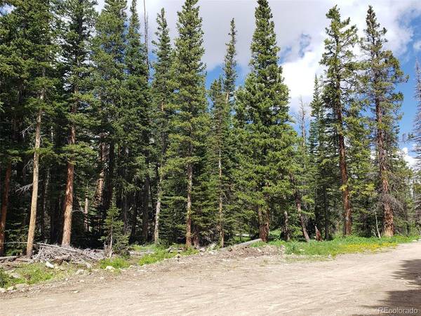 586 El Lobo, Fairplay, CO 80440