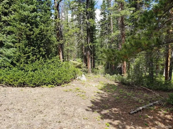 586 El Lobo, Fairplay, CO 80440