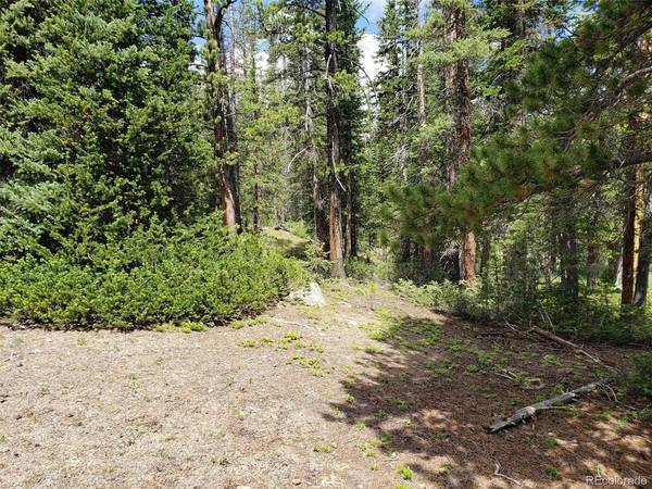 586 El Lobo, Fairplay, CO 80440