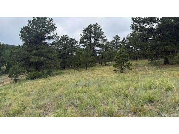3 Church Placer, Central City, CO 80427