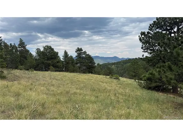 3 Church Placer, Central City, CO 80427