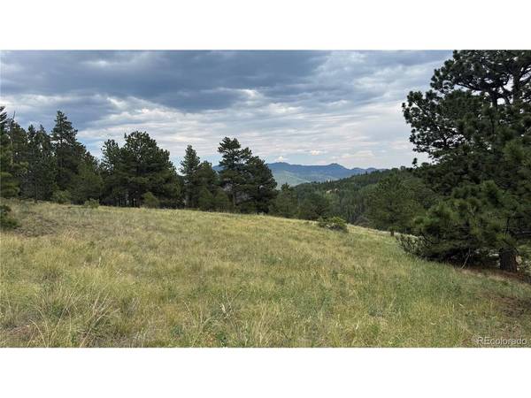 3 Church Placer, Central City, CO 80427