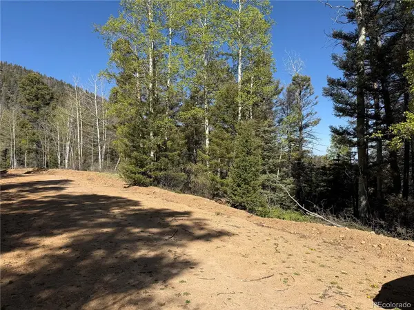 6031 Bruce, Fort Garland, CO 81133