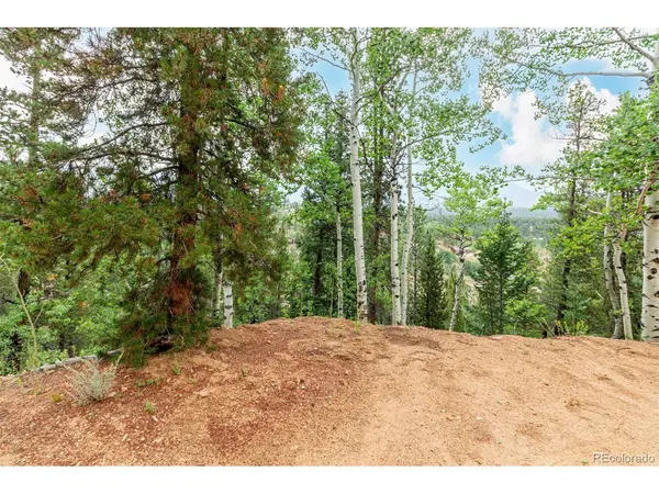 427 Wise, Bailey, CO 80421