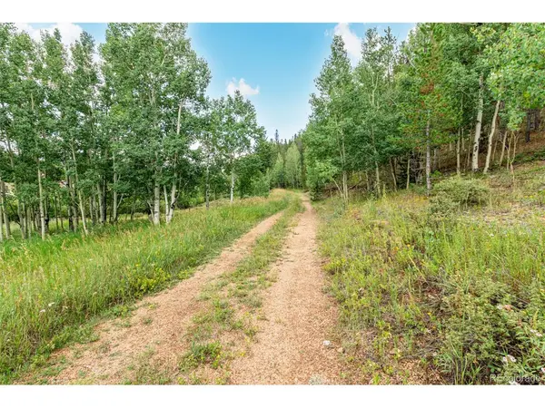 427 Wise, Bailey, CO 80421