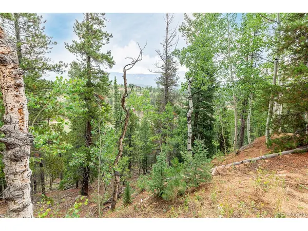 427 Wise, Bailey, CO 80421