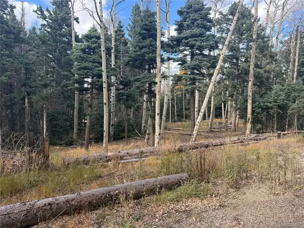2662 Petito, Fort Garland, CO 81133