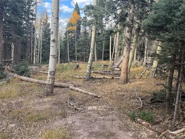 2662 Petito, Fort Garland, CO 81133