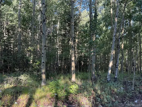 5331 Hull, Fort Garland, CO 81133
