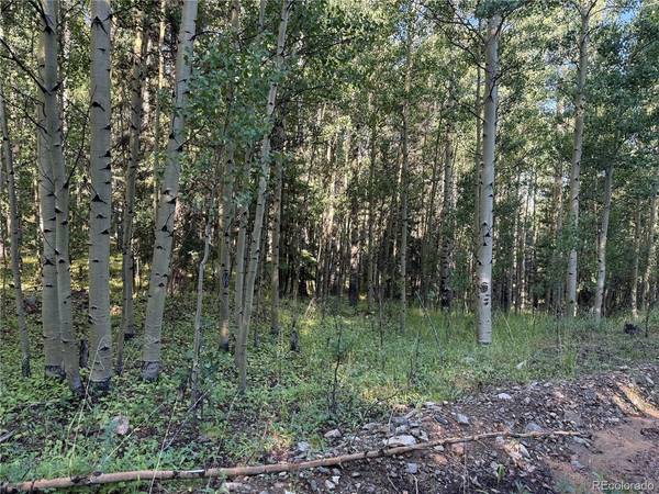 5331 Hull, Fort Garland, CO 81133
