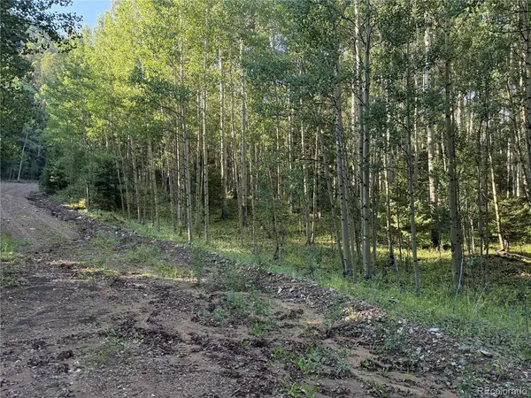 5331 Hull, Fort Garland, CO 81133