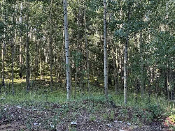 5331 Hull, Fort Garland, CO 81133