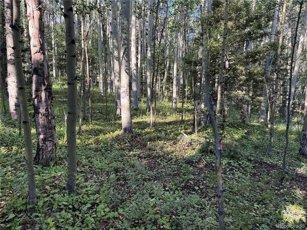 5331 Hull, Fort Garland, CO 81133