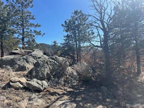 98 Discovery, Westcliffe, CO 81252