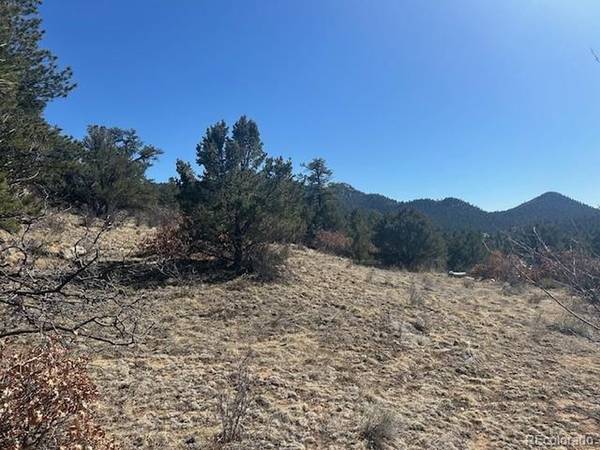 98 Discovery, Westcliffe, CO 81252