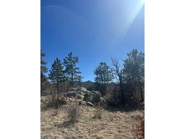 98 Discovery, Westcliffe, CO 81252