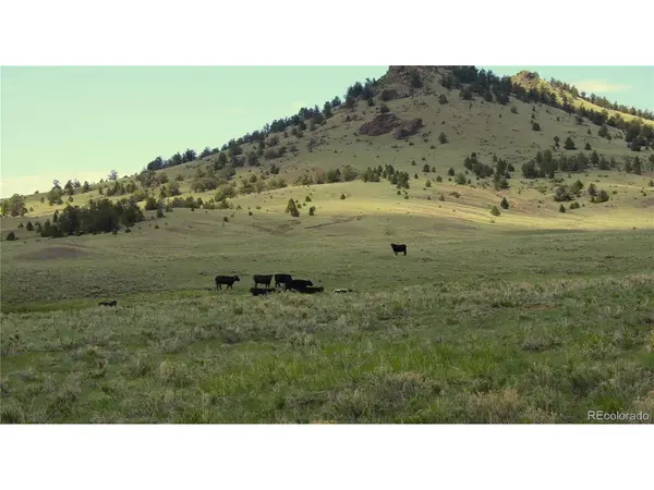 State, Guffey, CO 80820