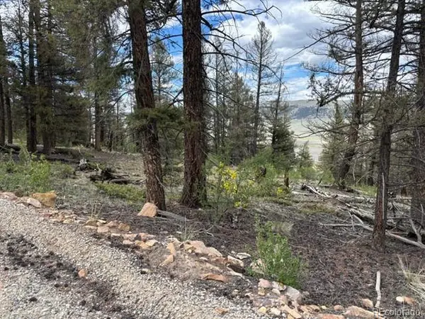 Middle Fork Vista, Fairplay, CO 80440