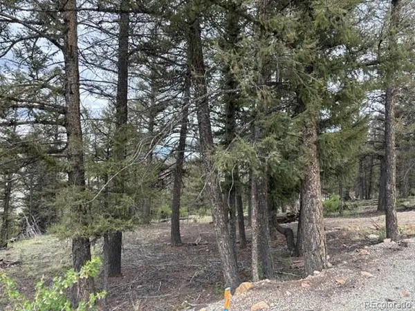 Middle Fork Vista, Fairplay, CO 80440