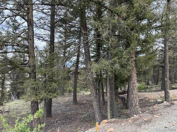 Middle Fork Vista, Fairplay, CO 80440