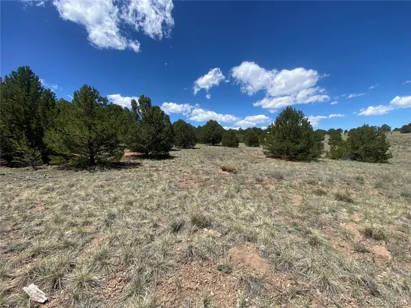 1638 20th, Cotopaxi, CO 81223