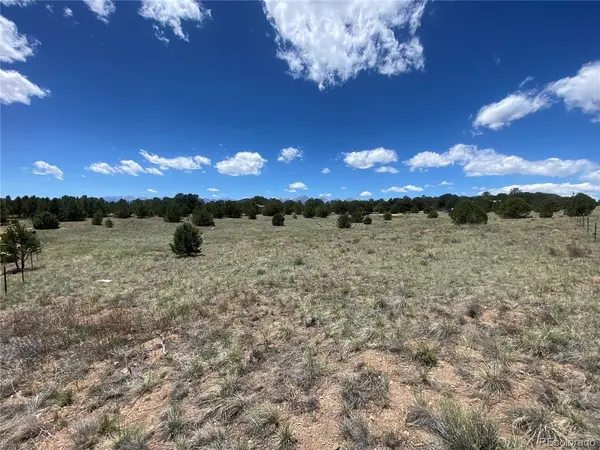 1638 20th, Cotopaxi, CO 81223