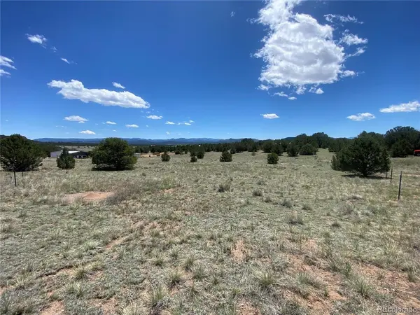 1638 20th, Cotopaxi, CO 81223