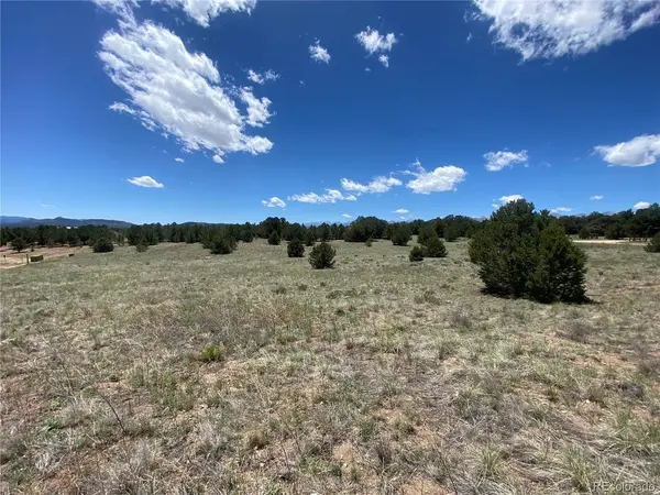 1638 20th, Cotopaxi, CO 81223