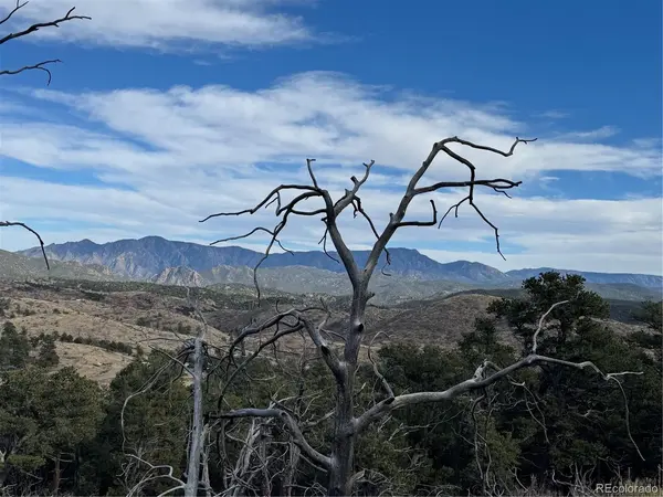 2926 E, Cotopaxi, CO 81223