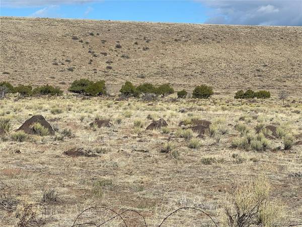 TBD Lot 2, La Jara, CO 81140