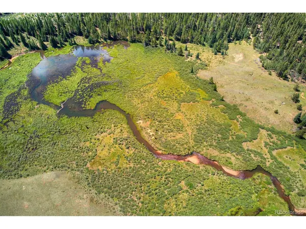 Address not disclosed, Alma, CO 80420