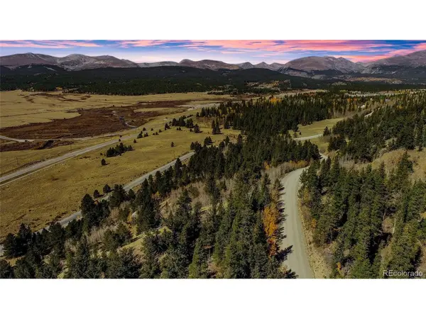 425 Platte River, Fairplay, CO 80440