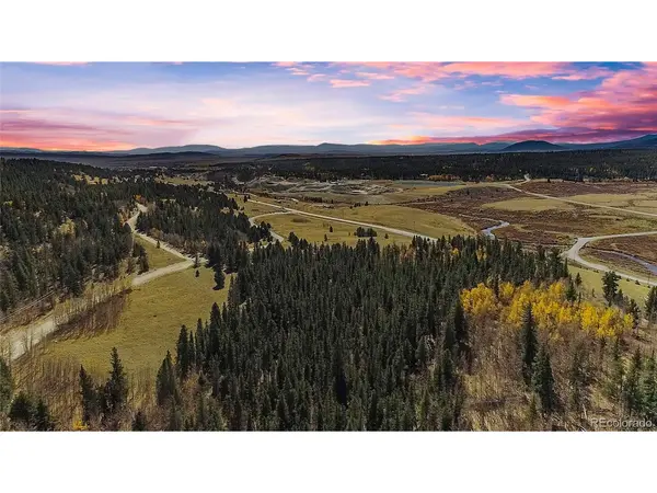 425 Platte River, Fairplay, CO 80440