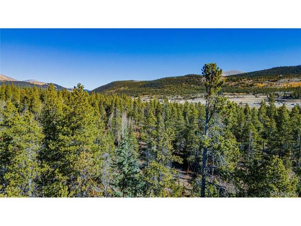 235 Willow, Fairplay, CO 80440