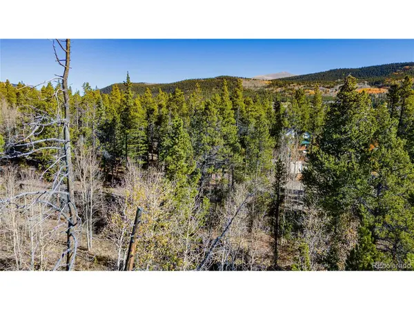 235 Willow, Fairplay, CO 80440
